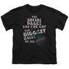 AC-DC - Big Balls Youth Short Sleeve