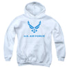 Air Force - Distressed Logo Youth Hooded Sweatshirt
