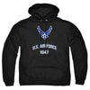 Air Force - Property Of Adult Pullover Hoodie