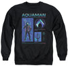 Aquaman And The Lost Kingdom - Aquaman Stats Adult Crewneck Sweatshirt