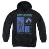 Aquaman And The Lost Kingdom - Aquaman Stats Youth Hooded Sweatshirt