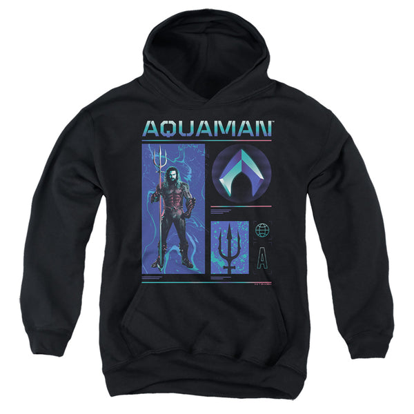 Aquaman And The Lost Kingdom - Aquaman Stats Youth Hooded Sweatshirt