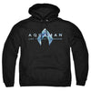 Aquaman And The Lost Kingdom - Logo Adult Pullover Hoodie