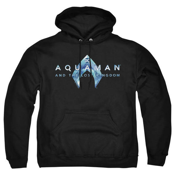Aquaman And The Lost Kingdom - Logo Adult Pullover Hoodie