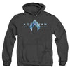 Aquaman And The Lost Kingdom - Logo Adult Heather Hoodie