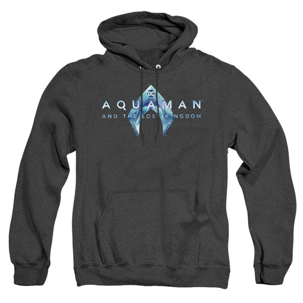 Aquaman And The Lost Kingdom - Logo Adult Heather Hoodie