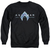 Aquaman And The Lost Kingdom - Logo Adult Crewneck Sweatshirt