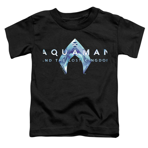 Aquaman And The Lost Kingdom - Logo Toddler Short Sleeve