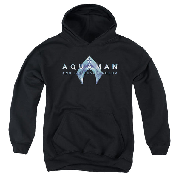 Aquaman And The Lost Kingdom - Logo Youth Hooded Sweatshirt