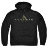 Aquaman Movie - Logo Adult Pullover Hoodie