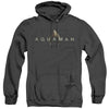 Aquaman Movie - Logo Adult Heather Hoodie