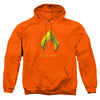 Aquaman Movie - Aquaman Logo Adult Pullover Hoodie