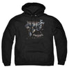 Batman Arkham Knight - Grapple Adult Pullover Hoodie