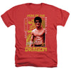 Bruce Lee - Framed Year Of The Dragon Adult Regular Fit Heather Short Sleeve