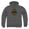 Batman - Batman Crest Adult Pullover Hoodie