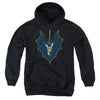 Batman - Bat Fill Youth Hooded Sweatshirt