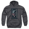 Batman - American Batman Youth Hooded Sweatshirt