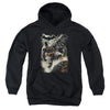 Batman - Family Youth Hooded Sweatshirt