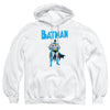 Batman - Stance Adult Pullover Hoodie