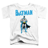 Batman - Stance Toddler Short Sleeve