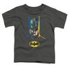 Batman - 80 Years Many Faces Toddler Short Sleeve