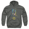 Batman - 80 Years Many Faces Youth Hooded Sweatshirt