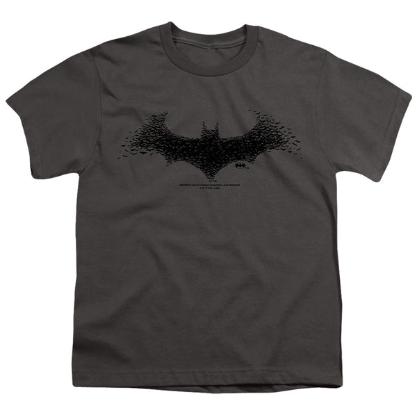 Batman - Bat Logo 1 Youth Short Sleeve