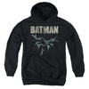 Batman - Batman Glide Youth Hooded Sweatshirt