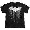 Batman - Batman Paint 1 Youth Short Sleeve