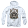 Batman - Gotham Hero Youth Hooded Sweatshirt
