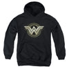 Batman V Superman - Ancient Emblems Youth Hooded Sweatshirt