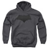 Batman V Superman - Batman Logo Youth Hooded Sweatshirt