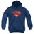 Batman V Superman - Super Movie Logo Youth Hooded Sweatshirt