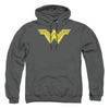 Batman V Superman - Clean Line Logo Adult Pullover Hoodie