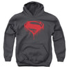 Batman V Superman - Splattered Youth Hooded Sweatshirt