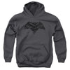 Batman V Superman - Vigilante Justice Youth Hooded Sweatshirt