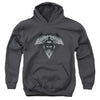 Batman V Superman - Fear Youth Hooded Sweatshirt