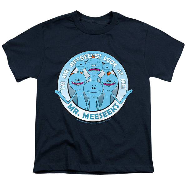 Rick And Morty - Mr Meeseeks Youth Short Sleeve