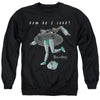 Rick And Morty - How Do I Look? Adult Crewneck Sweatshirt