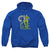 DC - The Riddler Adult Pullover Hoodie