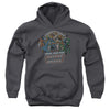DC - Join The Justice League Youth Hooded Sweatshirt