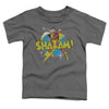 DC Shazam - Power Bolt Toddler Short Sleeve