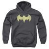 DC - Batgirl Logo Distressed Youth Hooded Sweatshirt