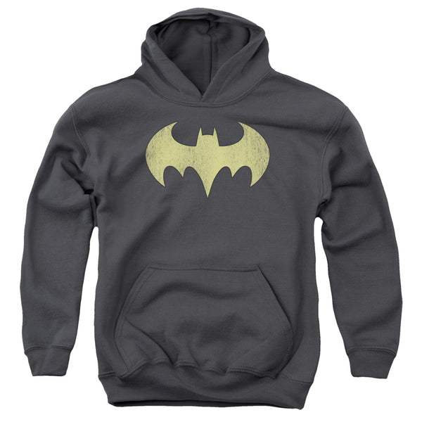DC - Batgirl Logo Distressed Youth Hooded Sweatshirt