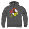 Flash - Run Flash Run Adult Pullover Hoodie