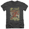 Flash - Just Passing Through Adult Slim Fit V Neck Cotton