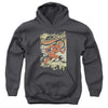 Flash - Just Passing Through Youth Hooded Sweatshirt