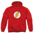Flash - Flash Logo Adult Pullover Hoodie