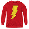 DC - Shazam Logo Distressed L - S Youth