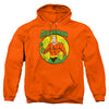 DC - Aquaman Adult Pullover Hoodie